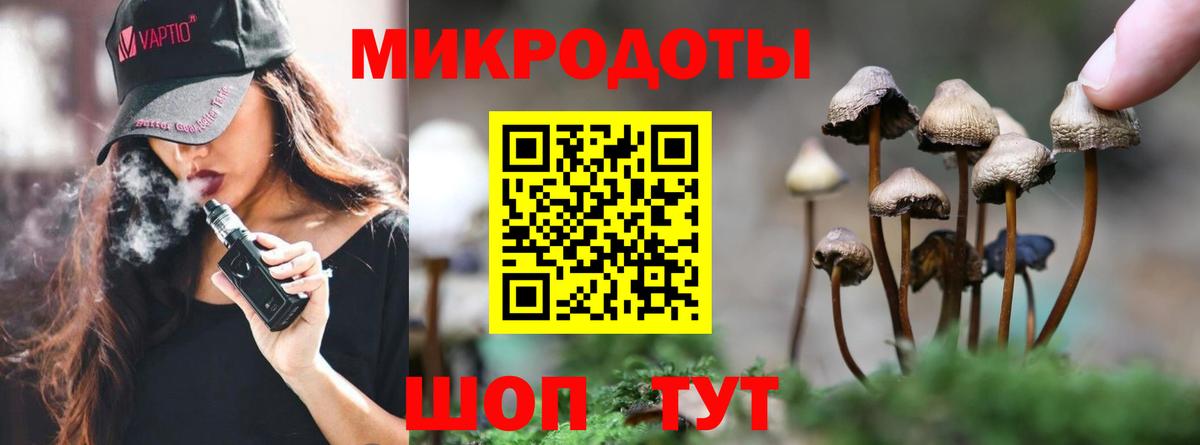 Псилоцибиновые грибы прущие грибы  Вход с VPN  Кропоткин 