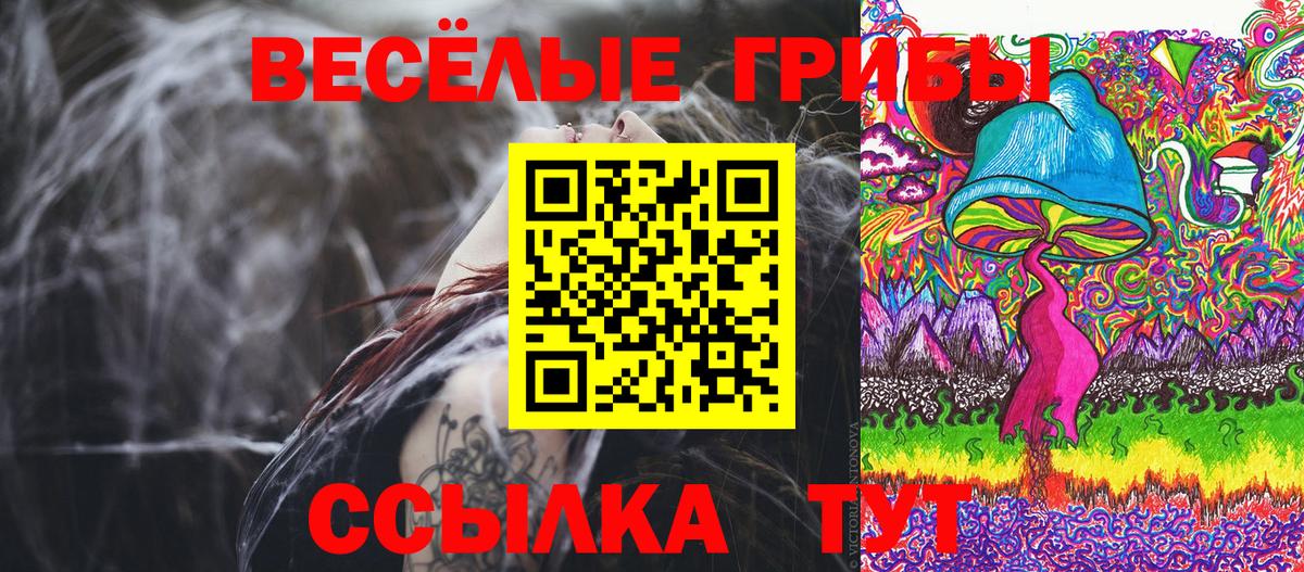 Псилоцибиновые грибы GOLDEN TEACHER Кропоткин